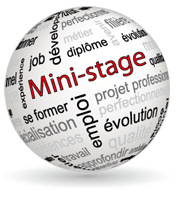 MINI-STAGES – Offres variées en cours